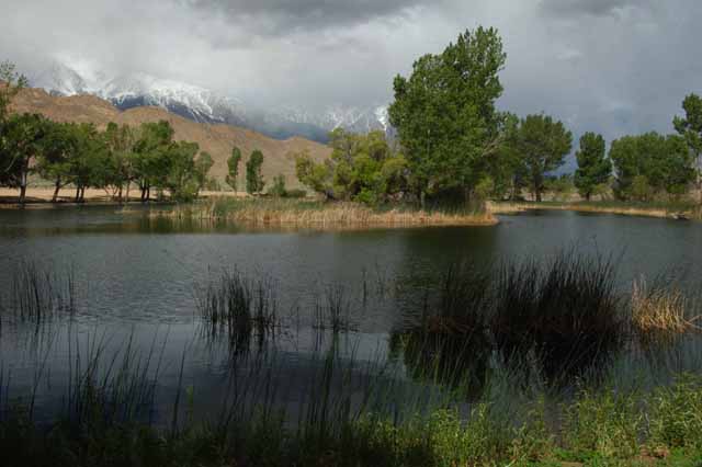 Millpond Recreation Area